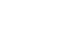 AVIZOR